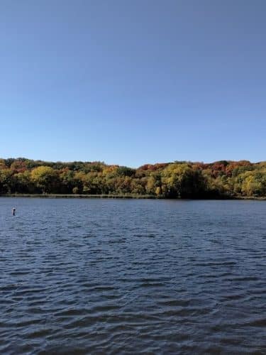 Dog Park at Fish Lake Regional Park