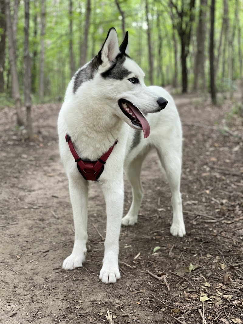 Dog Park at Fish Lake Regional Park - Maple Grove, MN