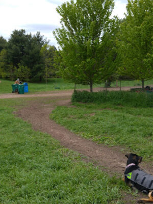Battle Creek Dog Park