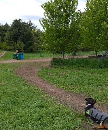 Battle Creek Dog Park