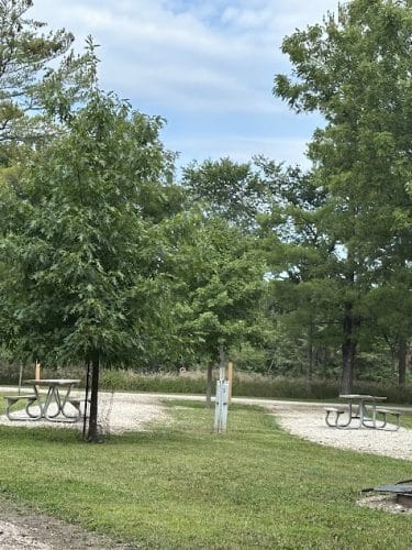 Ackley Creek Park