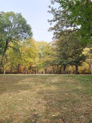 City Park