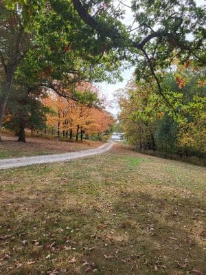 City Park