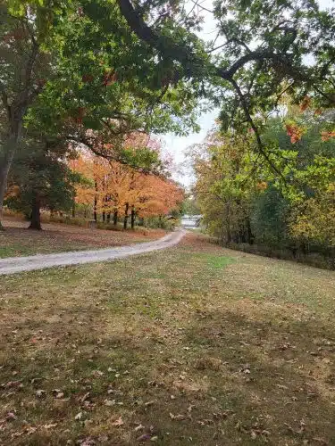 City Park