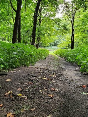 Tosanak Recreation Area