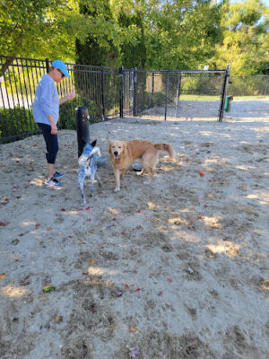 Margate City Dog Park