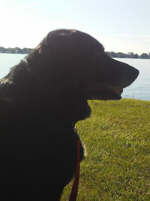 Drake Park