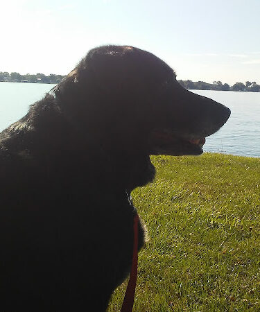 Drake Park