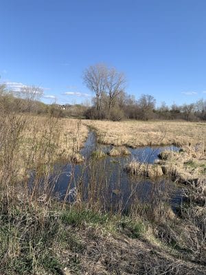 Lion’s Park at Hay Lake