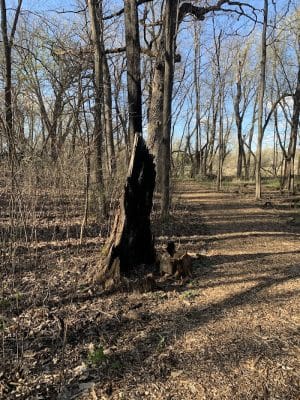 Lion’s Park at Hay Lake