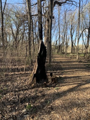 Lion’s Park at Hay Lake