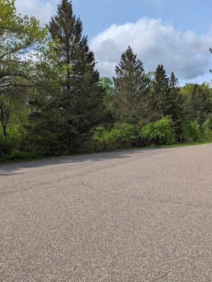 Lion’s Park at Hay Lake