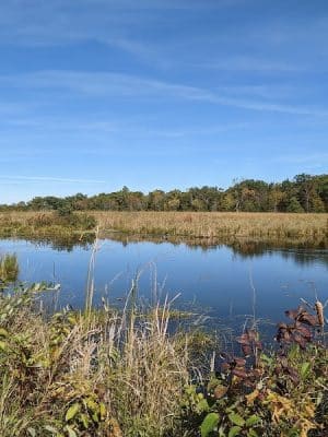 William O'Brien State Park