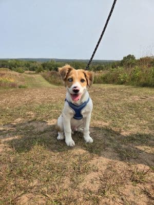 William O'Brien State Park