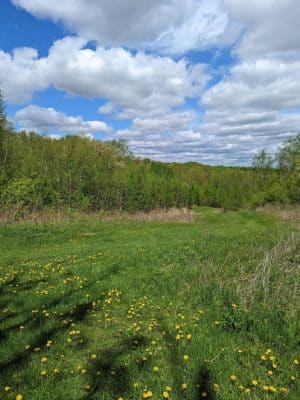 William O'Brien State Park