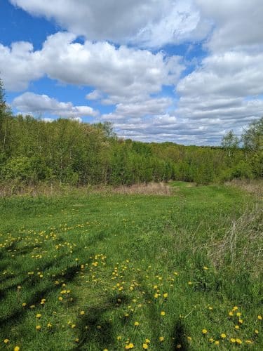 William O'Brien State Park