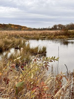 William O'Brien State Park