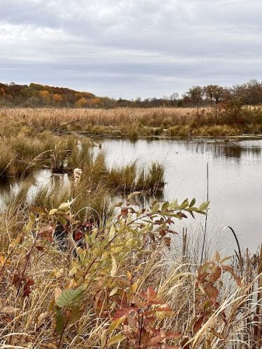 William O'Brien State Park