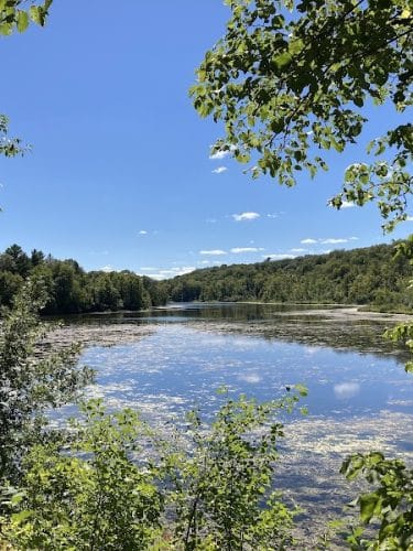 William O'Brien State Park