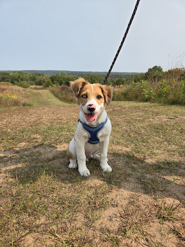 William O'Brien State Park