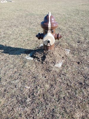 Ultimutt Dog Park