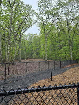 Marlborough Dog Park