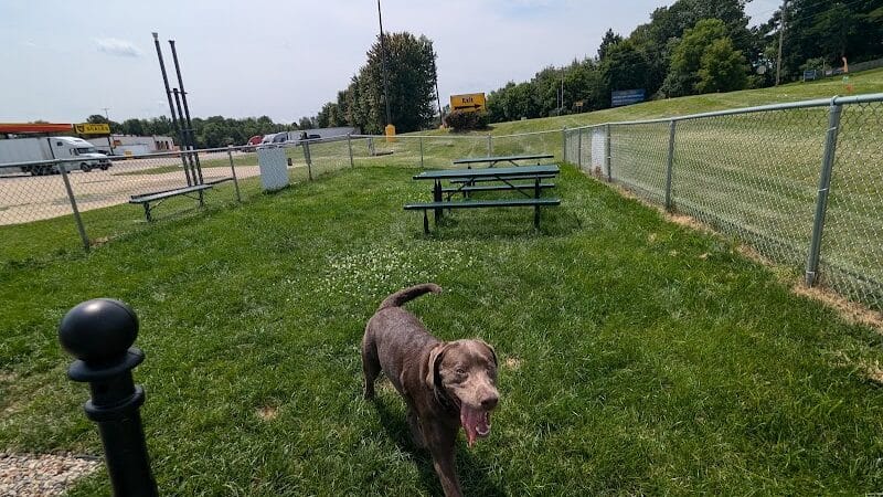 Dog Park at Love's Travel Stops - Marshall,
