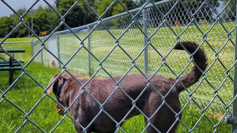Dog Park at Love's Travel Stops - Marshall,