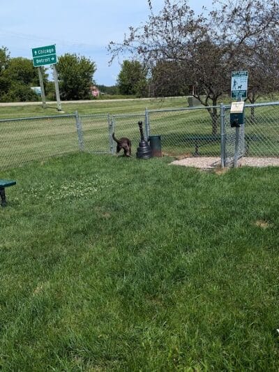 Dog Park at Love's Travel Stops - Marshall,