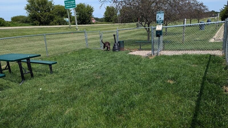 Dog Park at Love's Travel Stops - Marshall,