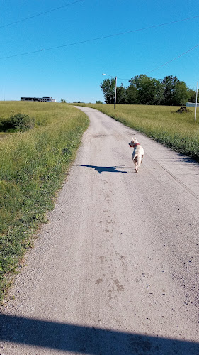 Marshall Dog Park - Marshall, MO