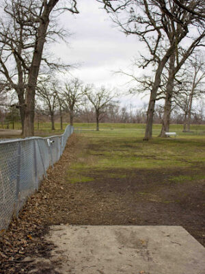 Dog Park in Riverview Park