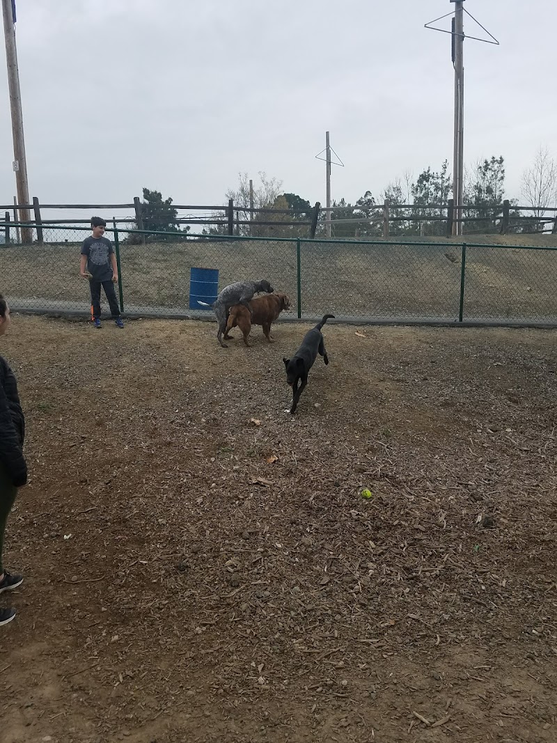 Martinez Waterfront Dog Park - Martinez, CA