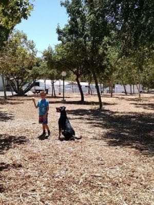 Martinez Waterfront Dog Park