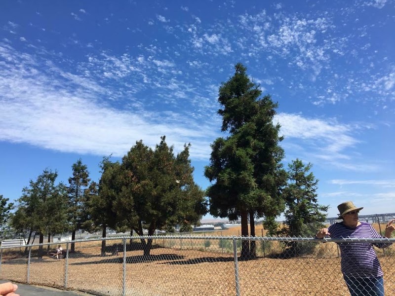 Martinez Waterfront Dog Park - Martinez, CA