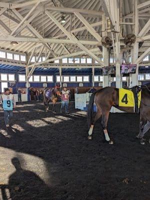 Laurel Park