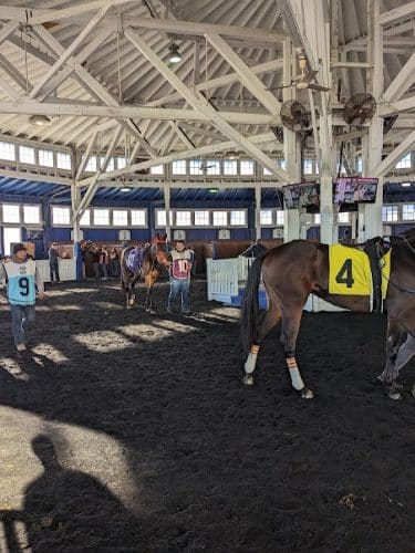 Laurel Park
