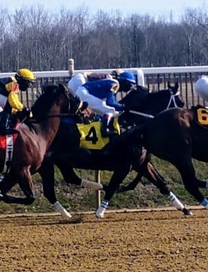 Laurel Park