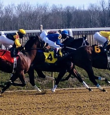Laurel Park