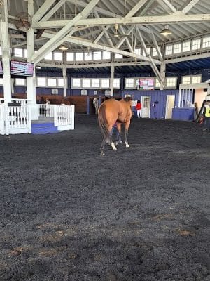 Laurel Park