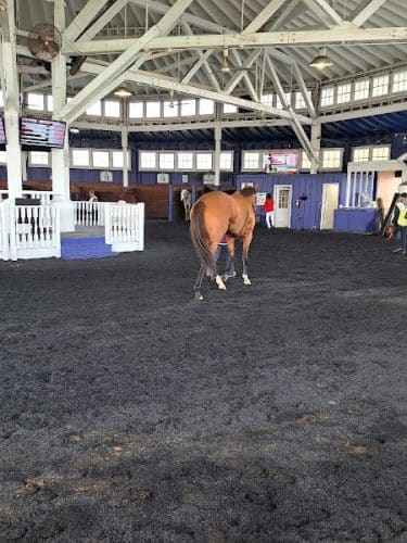 Laurel Park