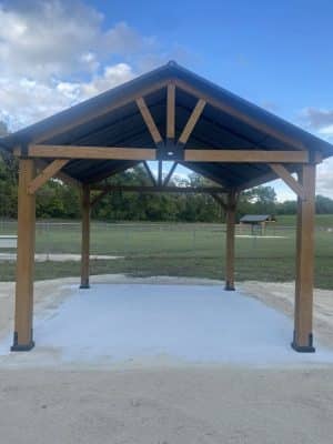 Black Squirrel Bark Park