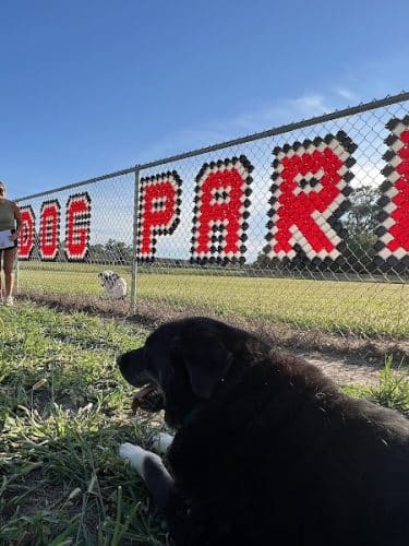 Black Squirrel Bark Park