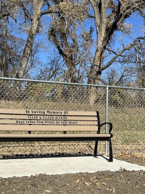 Black Squirrel Bark Park
