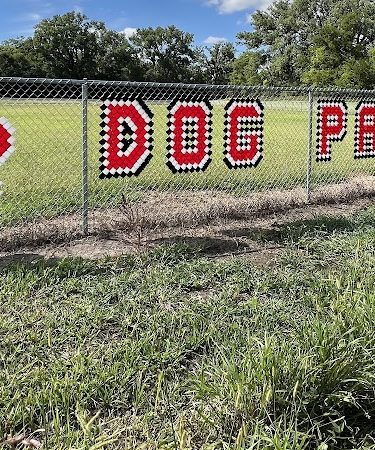 Black Squirrel Bark Park