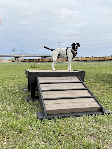 Black Squirrel Bark Park