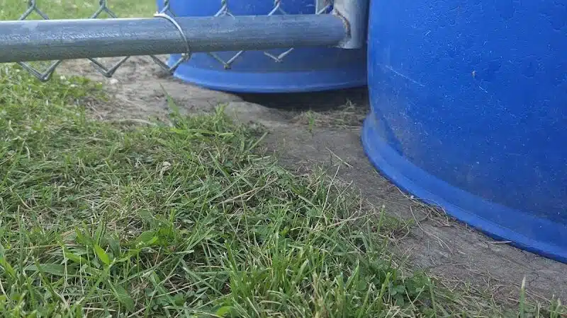 Marysville dog park - Marysville,