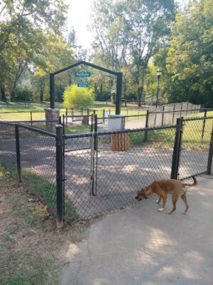 PetSafe Pistol Creek Dog Park