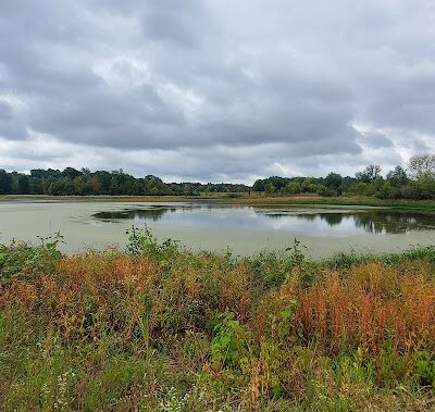 Bunker Nature Preserve - Mason,