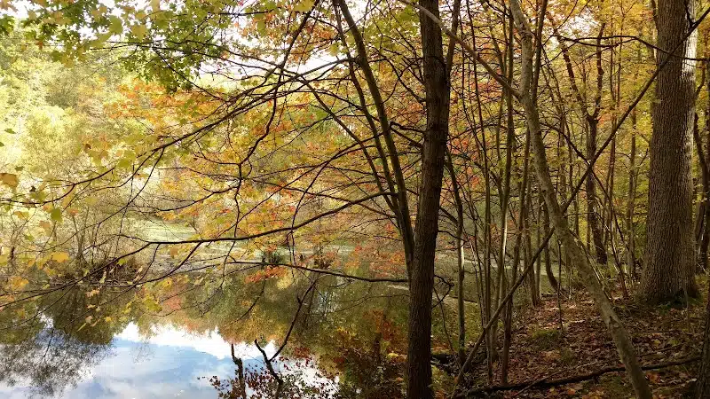 Dansville State Game Area - Mason,